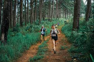 BIB: 
                            <button type="button" onclick="openModal(25659229)" class="btn btn-primary btn-sm float-right btn-popup" data-toggle="modal" data-target=".modal-high-quality">
                        <i class="fas fa-shopping-cart"></i> Add to Cart
                    </button>
                                            <button type="button" onclick="isThisMe(25659229, true)" class="btn btn-success btn-sm float-right btn-popup btn-isme hidden" data-toggle="tooltip" data-placement="bottom" title="นี่คือรูปของคุณใช่ไหม คลิกที่นี่เพื่อเอาเข้าอัลบั้ม">
                        <i class="fas fa-plus"></i> Add to album
                    </button>
                    <button type="button" onclick="isThisMe(25659229, false)" class="btn btn-warning btn-sm float-right btn-popup btn-isnotme hidden">
                        <i class="fas fa-ban"></i> Remove from album
                    </button>